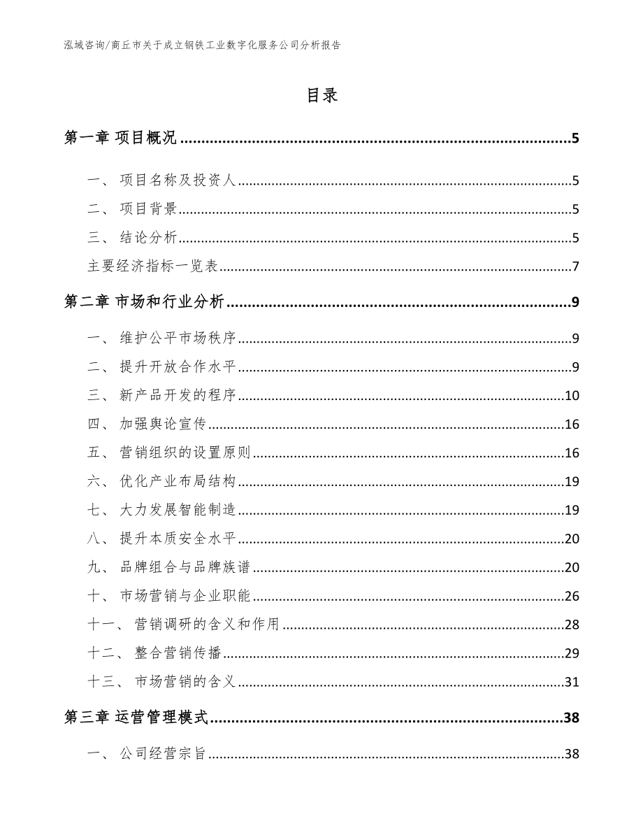 商丘市关于成立钢铁工业数字化服务公司分析报告_范文_第1页