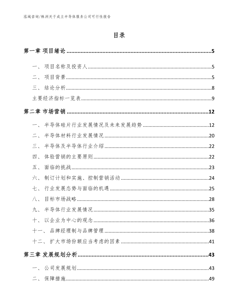 株洲关于成立半导体服务公司可行性报告_第1页