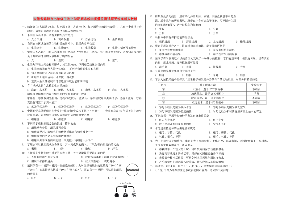 安徽省蚌埠市七年级生物上学期期末教学质量监测试题无答案新人教版_第1页