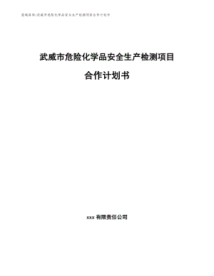 武威市危险化学品安全生产检测项目合作计划书（范文）