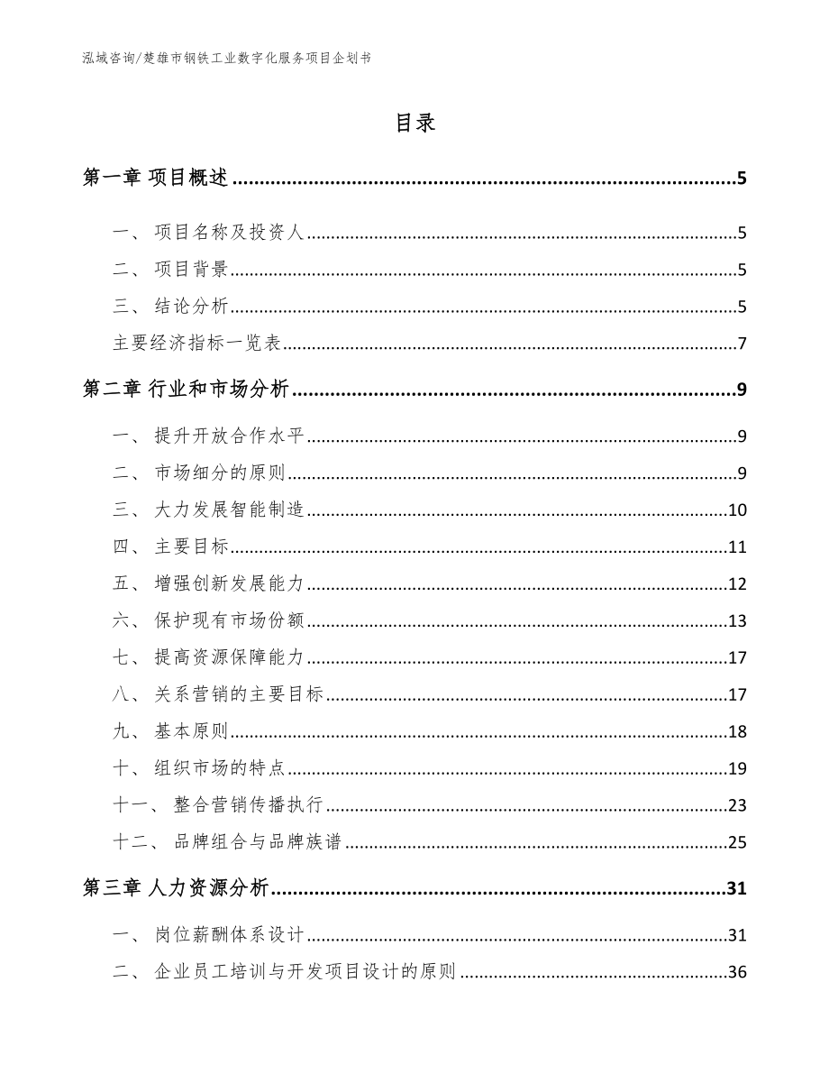 楚雄市钢铁工业数字化服务项目企划书（模板参考）_第1页