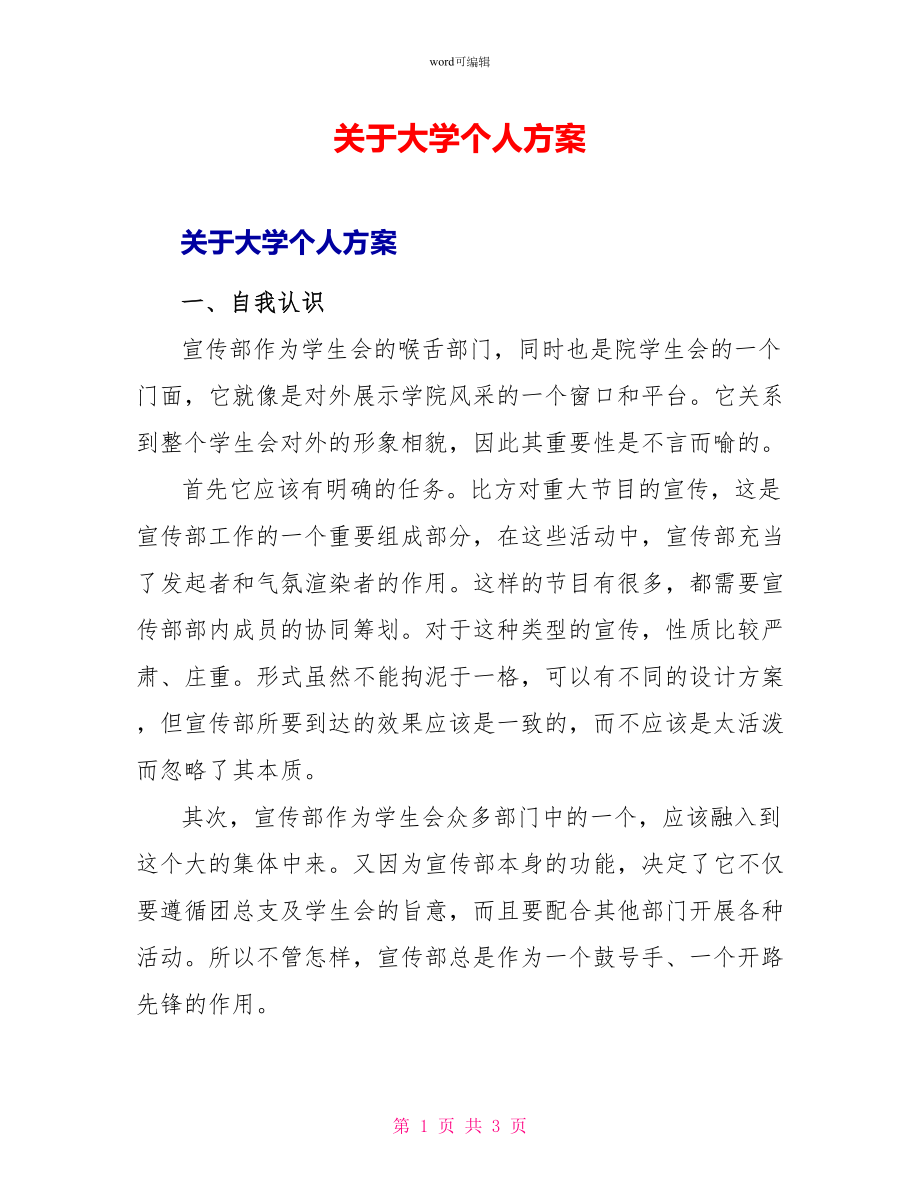 关于大学个人计划1_第1页