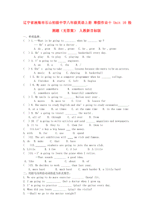 遼寧省凌海市石山初級(jí)中學(xué)八年級(jí)英語(yǔ)上冊(cè) 寒假作業(yè)十 Unit 10 檢測(cè)題（無(wú)答案） 人教新目標(biāo)版