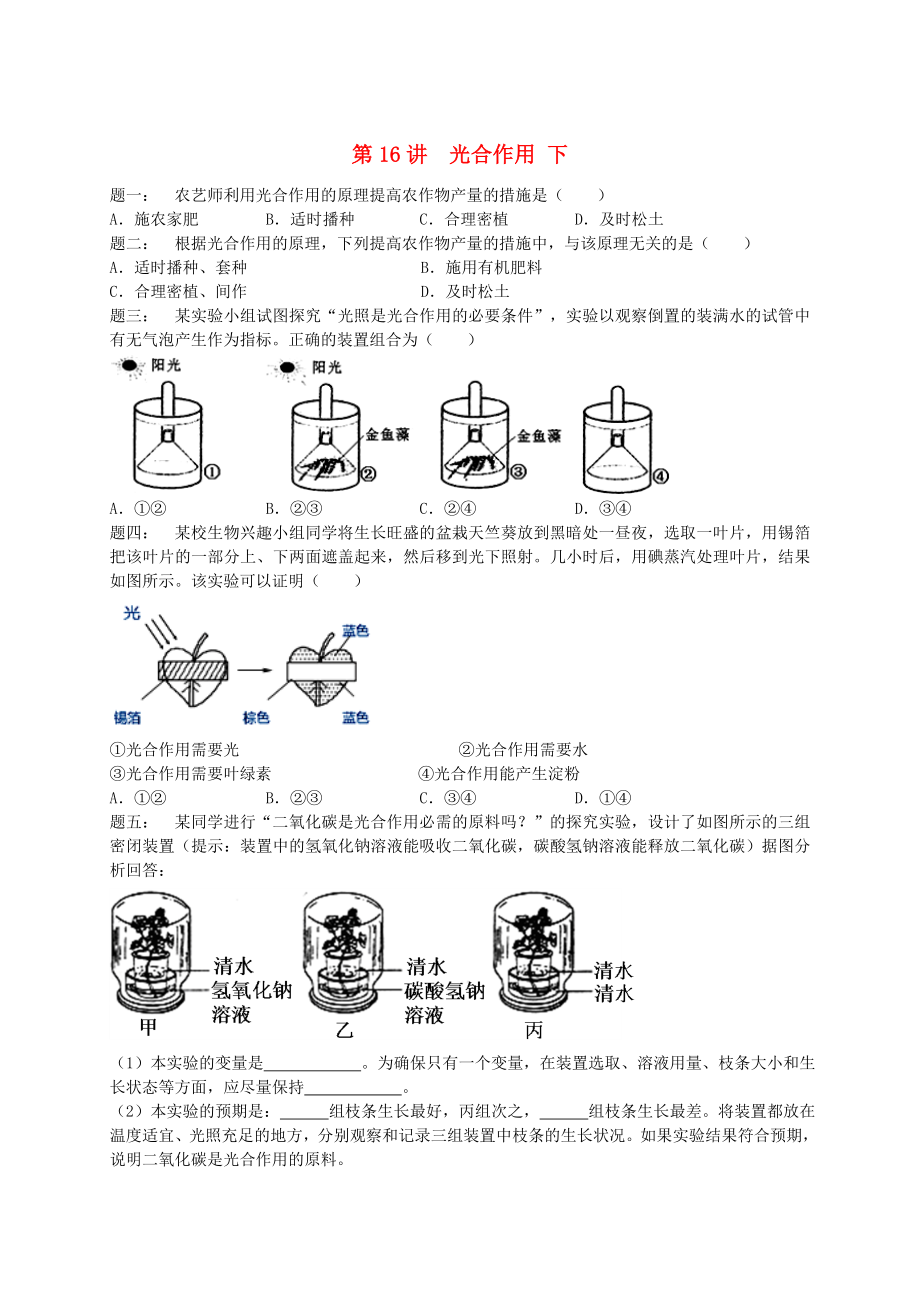 江苏省大丰市七年级生物上册第16讲光合作用下练习苏教版_第1页