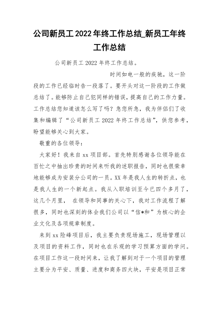 公司新员工2022年终工作总结_第1页