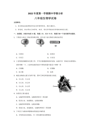 2022年江蘇省鎮(zhèn)江市句容市、丹徒區(qū)八年級(jí)上學(xué)期期中生物試卷（含答案）