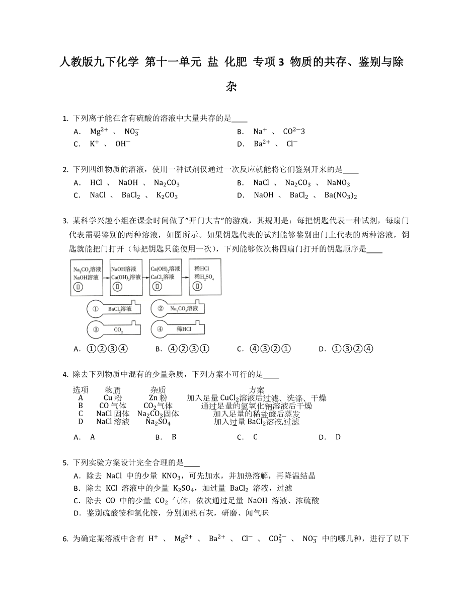 人教版九年级下学期化学 第十一单元 盐 化肥 专项3 物质的共存、鉴别与除杂_第1页