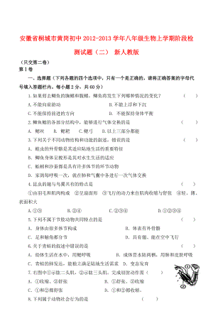 安徽省桐城市2012-2013学年八年级生物上学期阶段检测试题（二） 新人教版