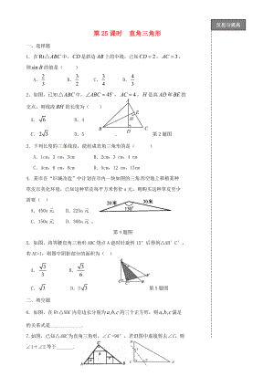 福建省太姥山中學(xué)2013屆中考數(shù)學(xué)第一輪復(fù)習(xí) 第25課時(shí) 直角三角形（無答案）