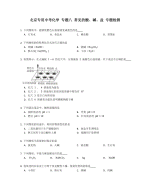 北京專(zhuān)用中考化學(xué) 專(zhuān)題八 常見(jiàn)的酸、堿、鹽 專(zhuān)題檢測(cè)