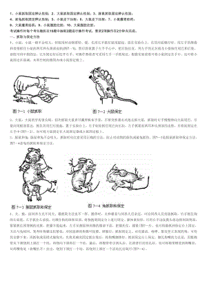 湖北省实验动物专业技术培训班操作考试