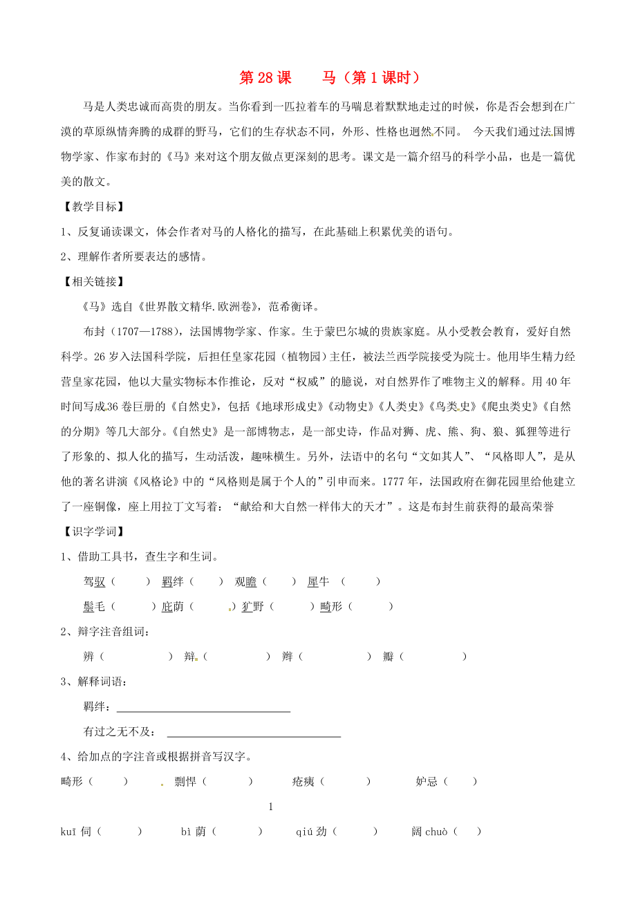 黑龙江省鸡西市鸡东县六年级语文下册第五单元第28课马学案无答案鲁教版五四制_第1页