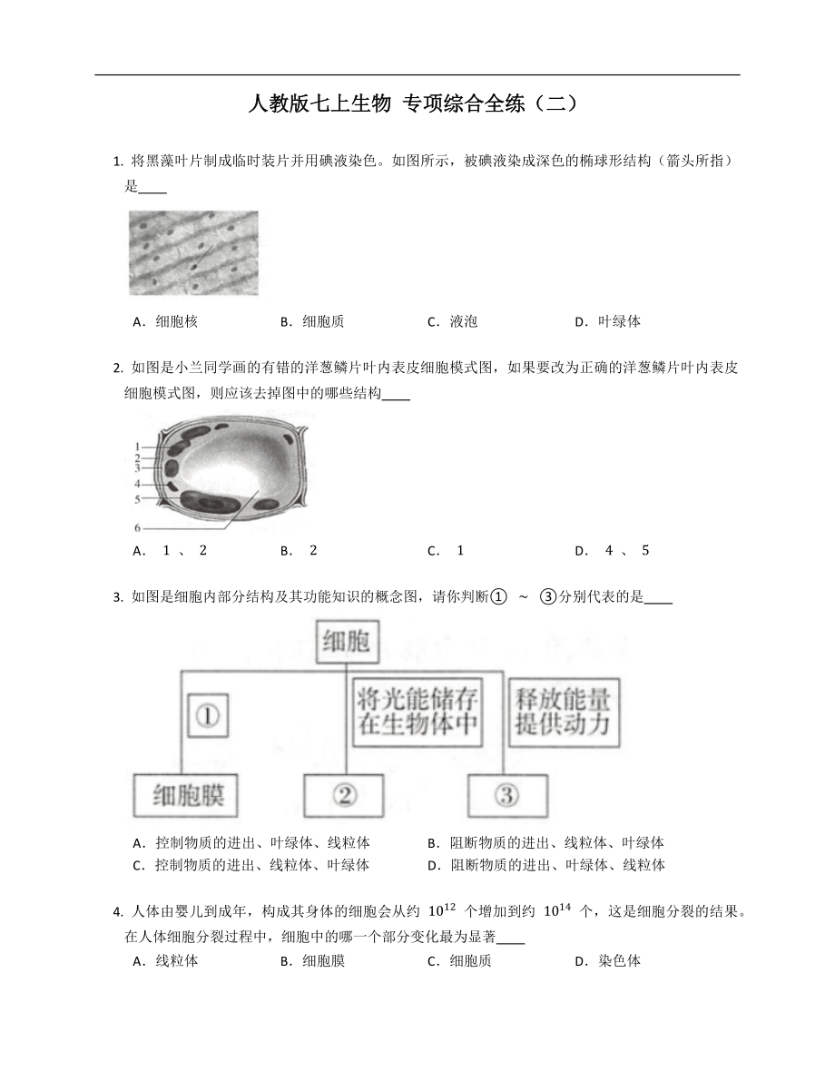 人教版七年級(jí)上學(xué)期生物 專項(xiàng)綜合全練（二）_第1頁(yè)