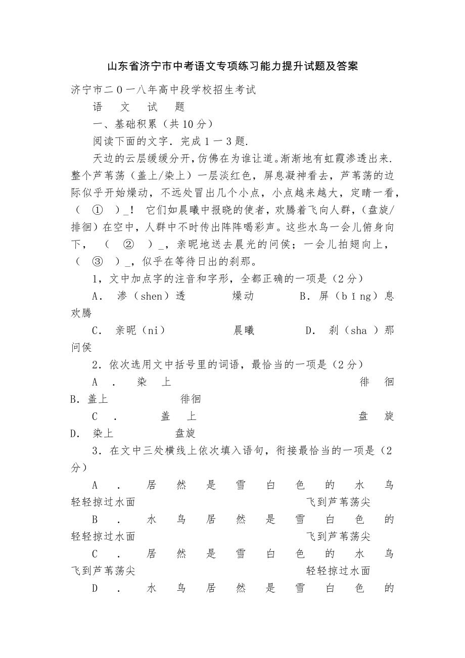 山东省济宁市中考语文专项练习能力提升试题及答案_2_第1页