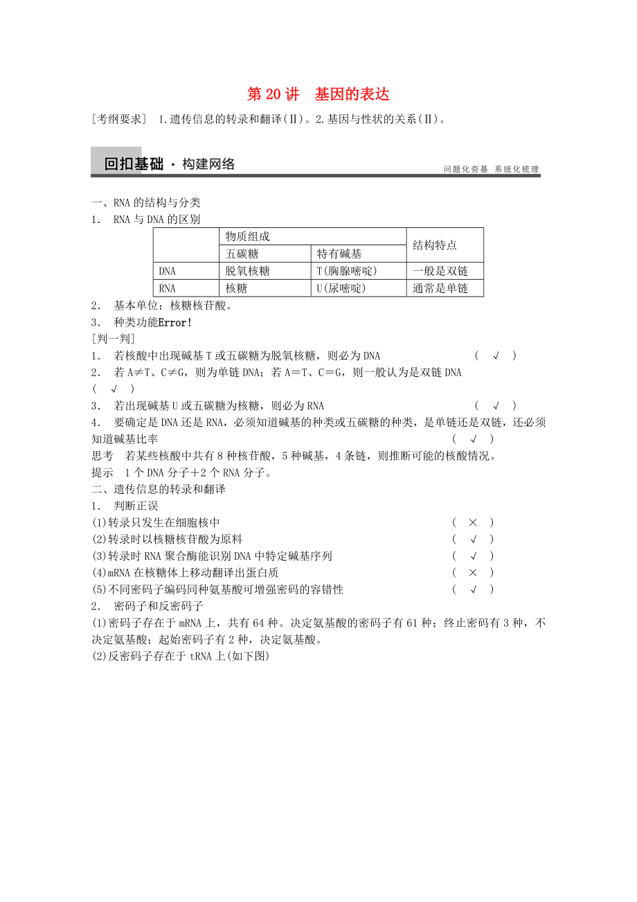 2014年高考生物大一輪復(fù)習(xí) 第六單元 第20講 基因的表達(dá)教案_第1頁(yè)