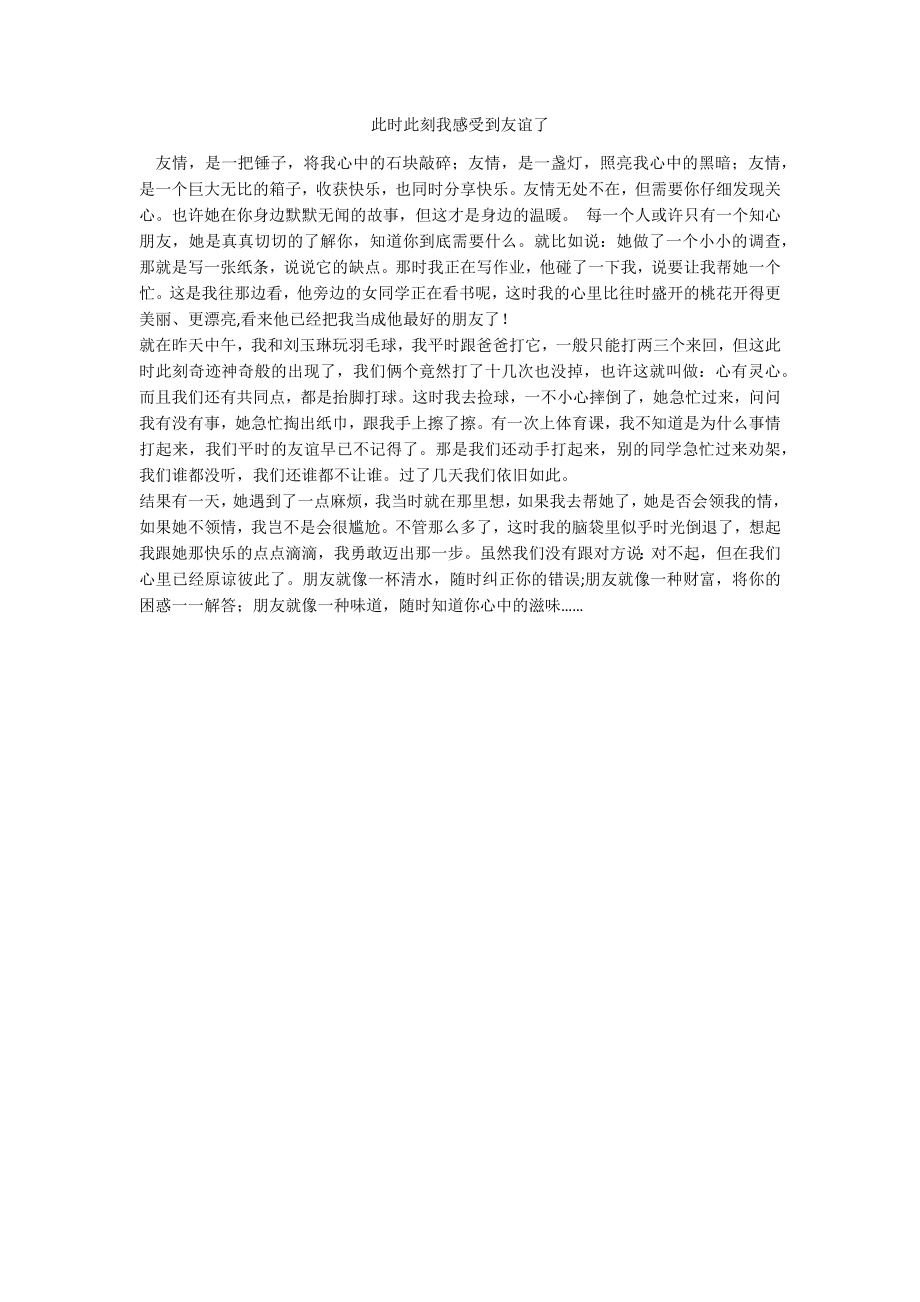 此時(shí)此刻我感受到友誼了_第1頁