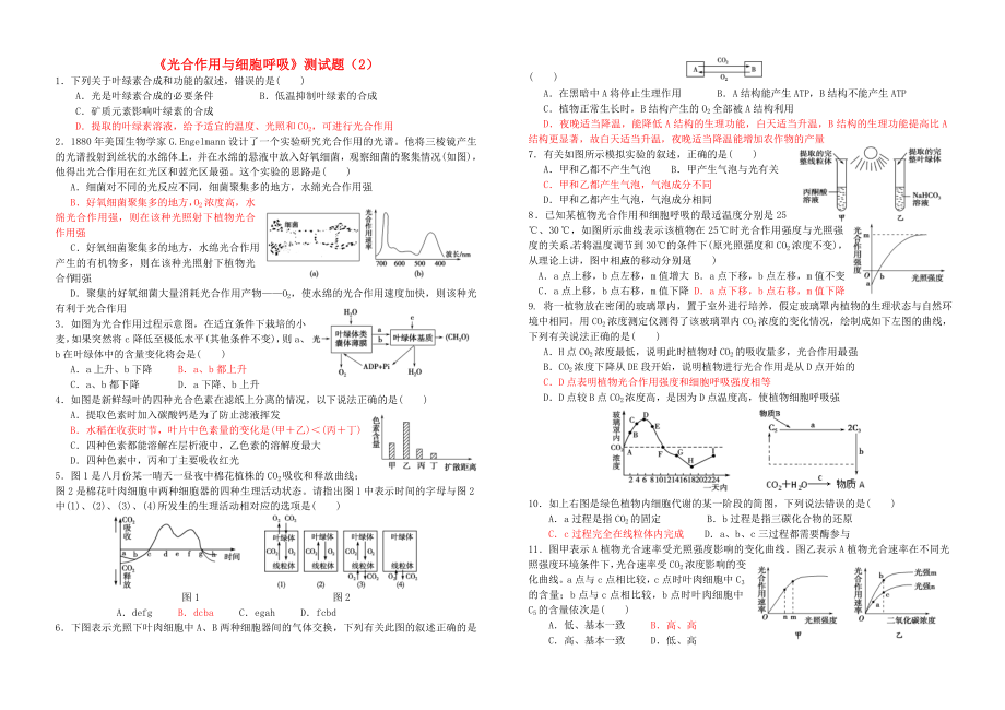 河南省鄭州市第五中學高考生物復習 第5章 光合作用與細胞呼吸單元測試題2 新人教版必修1_第1頁