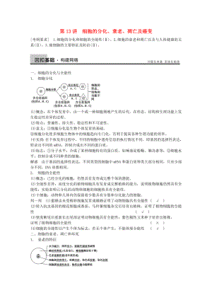 2014年高考生物大一輪復習 第四單元 第13講 細胞的分化、衰老、凋亡及癌變教案