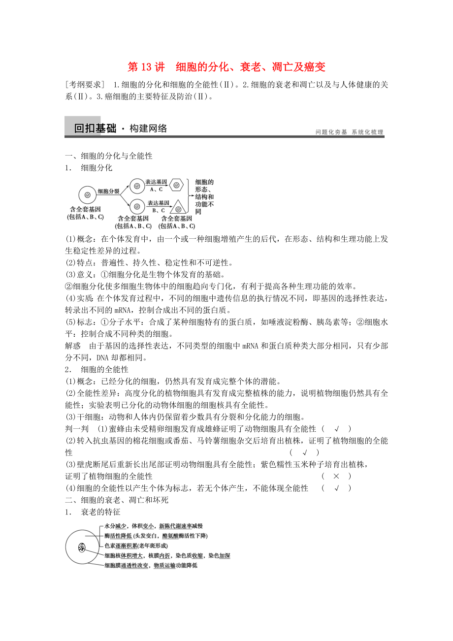 2014年高考生物大一輪復(fù)習(xí) 第四單元 第13講 細(xì)胞的分化、衰老、凋亡及癌變教案_第1頁