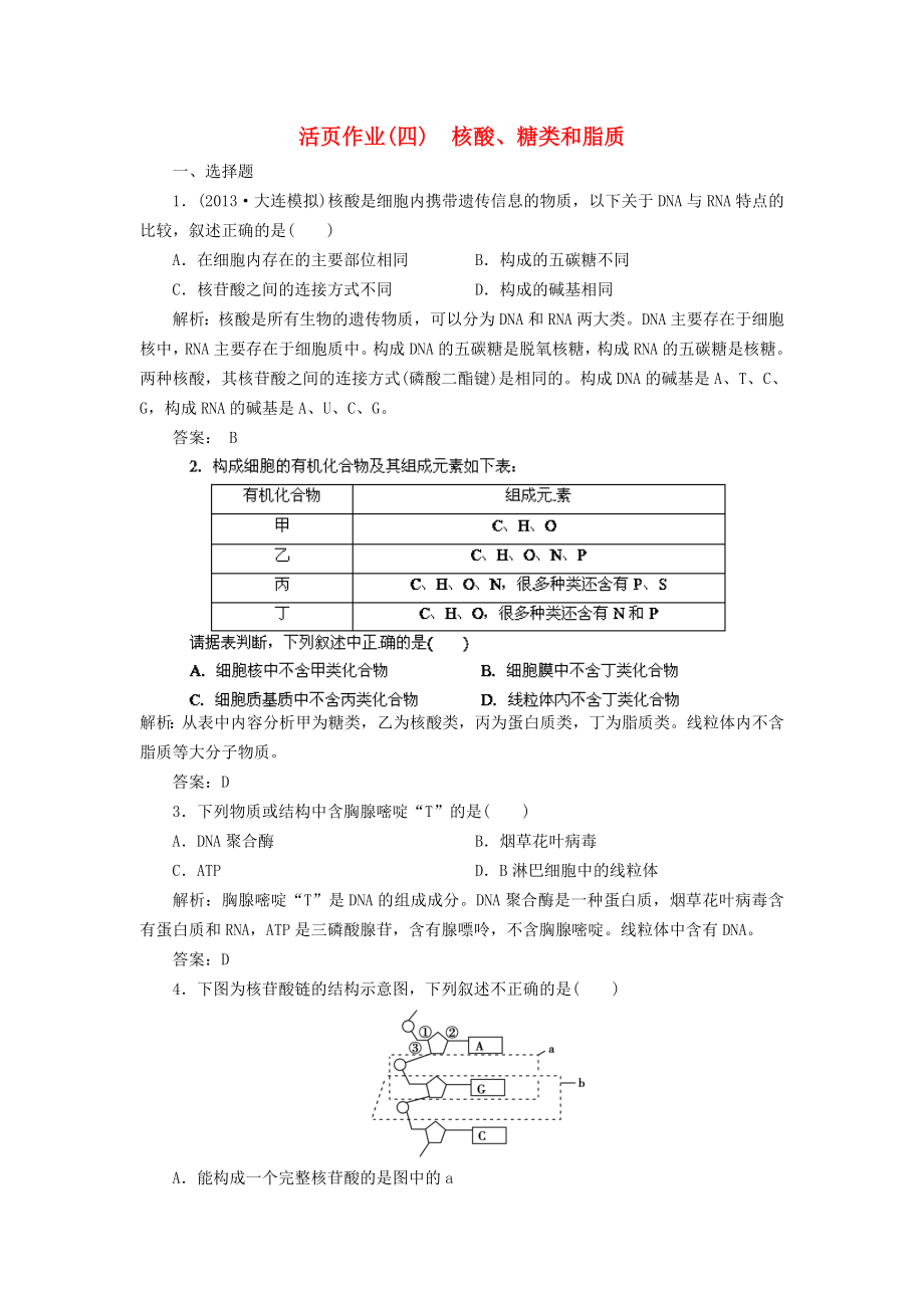 2014高三生物一輪復(fù)習(xí)指導(dǎo) 活頁(yè)作業(yè)4 核酸、糖類(lèi)和脂質(zhì)（含解析）新人教版_第1頁(yè)