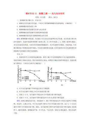 2014年高考生物第一輪總復(fù)習(xí) 課時(shí)作業(yè)11 能量之源 光與光合作用（含解析）新人教版