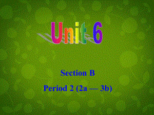 九年級英語全冊 Unit 6 When was it invented Section B 2(2)課件