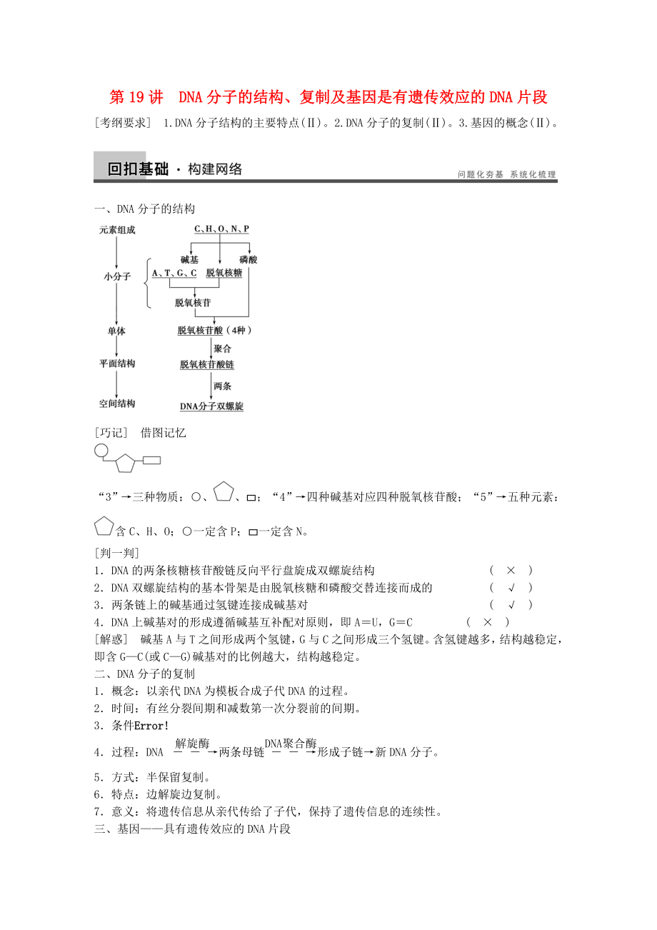 2014年高考生物大一輪復(fù)習(xí) 第六單元 第19講 DNA分子的結(jié)構(gòu)、復(fù)制及基因是有遺傳效應(yīng)的DNA片段教案_第1頁(yè)