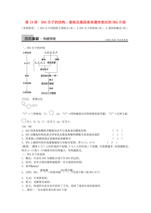 2014年高考生物大一輪復(fù)習(xí) 第六單元 第19講 DNA分子的結(jié)構(gòu)、復(fù)制及基因是有遺傳效應(yīng)的DNA片段教案