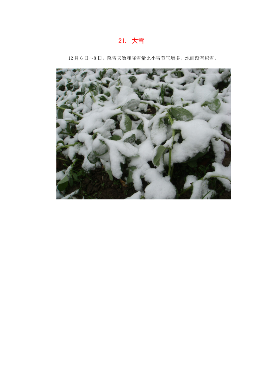 2015年高中地理24节气摄影素材21大雪_第1页
