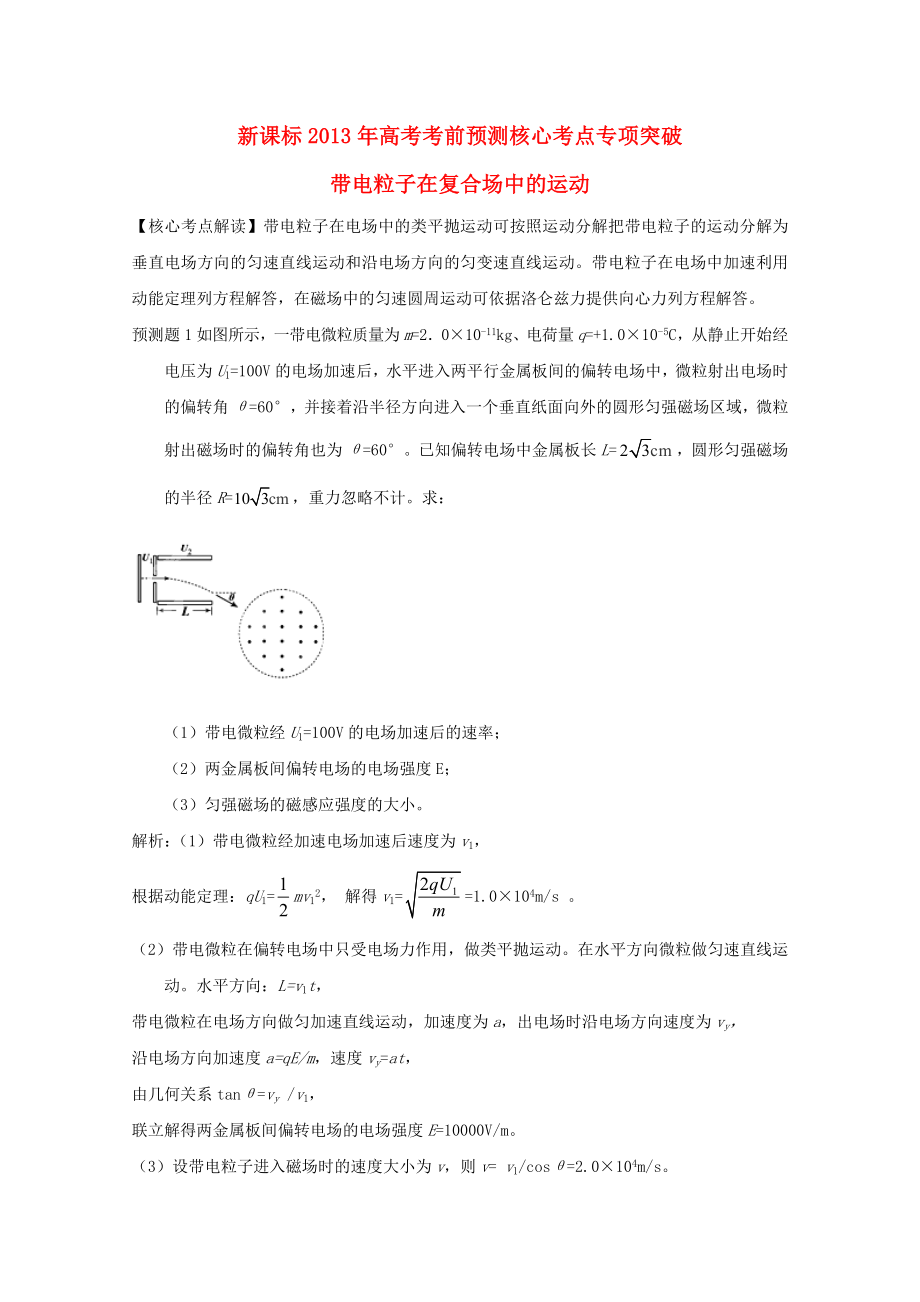 （新課標)2013年高考物理 考前預測核心考點專項突破 帶電粒子在復合場中的運動 (2)_第1頁