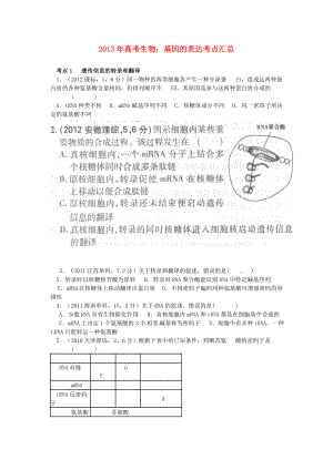 2013年高考生物 基因的表達(dá)考點(diǎn)匯總（含高考真題解析）