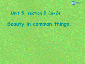 九年級英語全冊 Unit 5 What are the shirts made of？Section B(2a-2e)課件