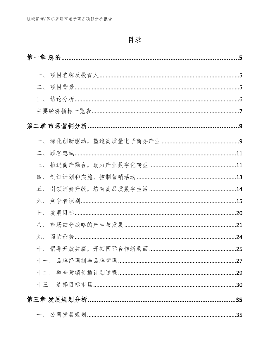 鄂尔多斯市电子商务项目分析报告范文_第1页