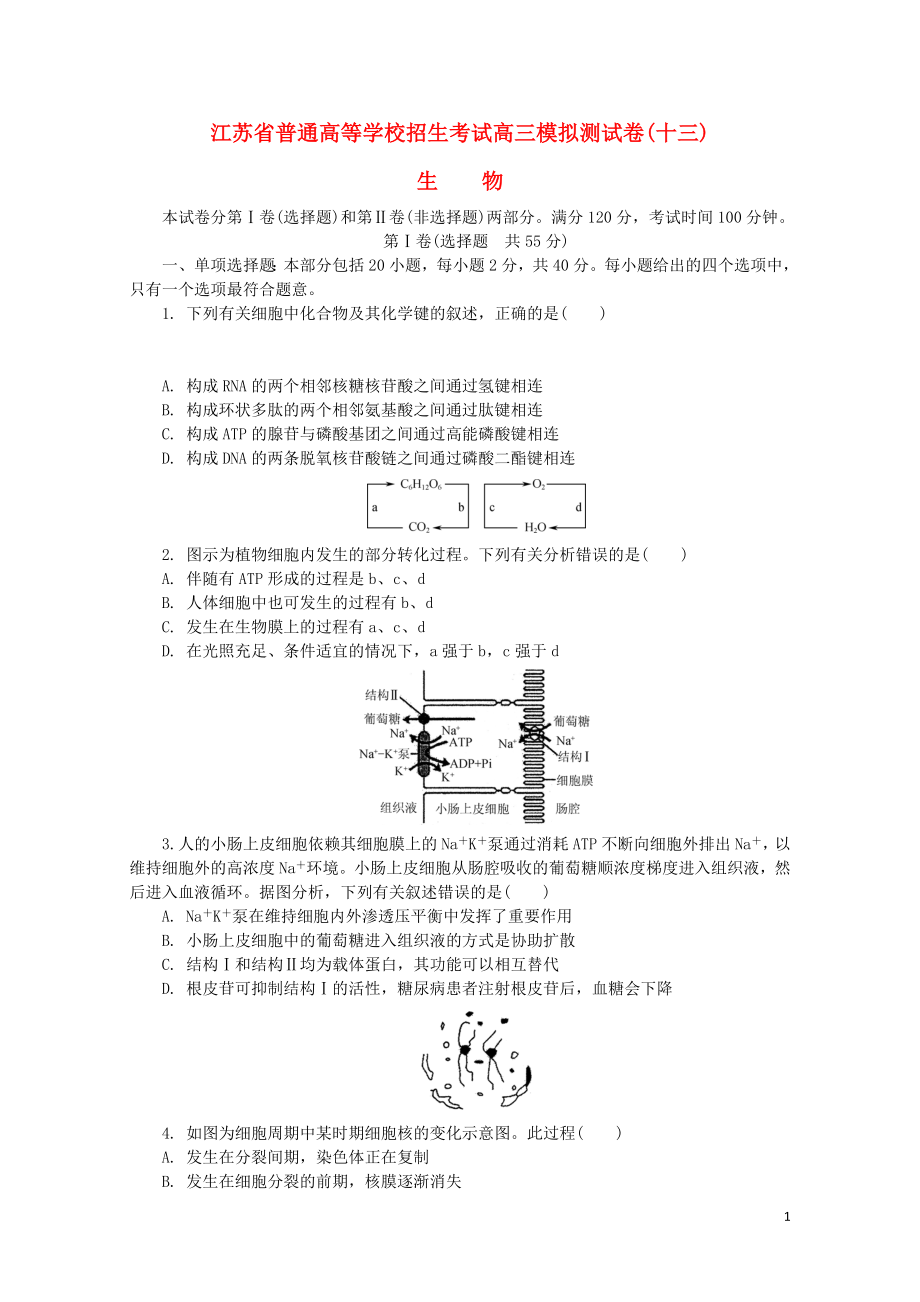 江苏省普通高等学校高三生物招生考试模拟测试试题十三08090178_第1页