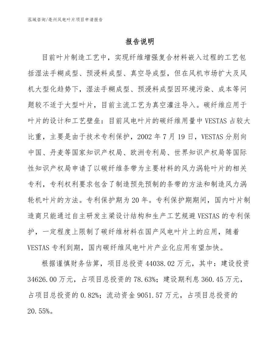 亳州风电叶片项目申请报告_第1页