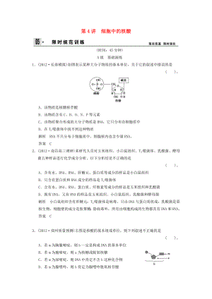 2014屆高三生物一輪 限時(shí)規(guī)范訓(xùn)練 1-3-4細(xì)胞中的核酸（含解析）中圖版