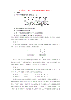 2014高三生物一輪復(fù)習(xí)指導(dǎo) 活頁(yè)作業(yè)14 孟德?tīng)柕耐愣闺s交實(shí)驗(yàn)（二）（含解析）新人教版