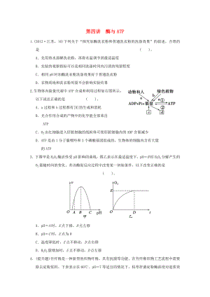 2013高考生物 不失分攻略大全 第四講 酶與ATP