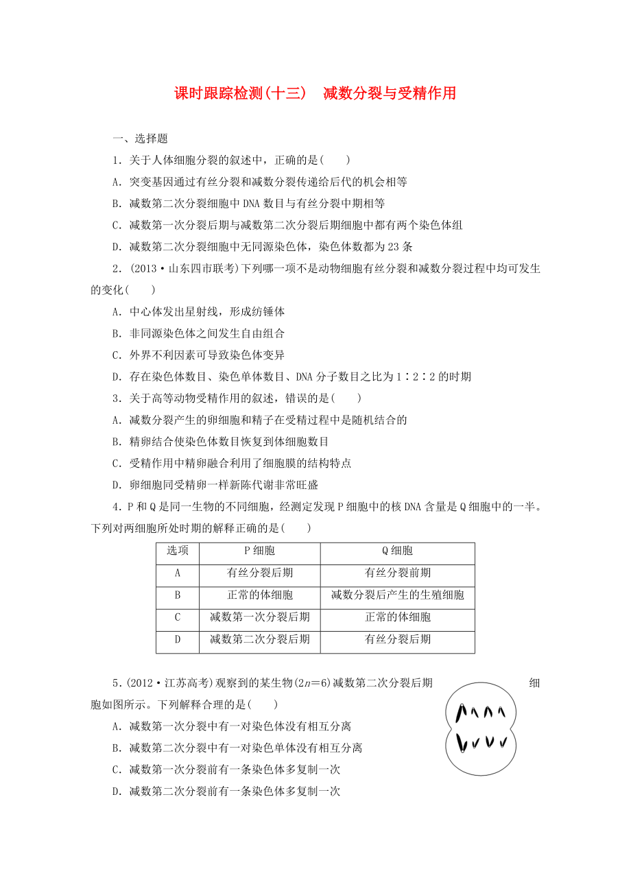 2014高考生物一輪復(fù)習(xí) 課時(shí)跟蹤檢測(十三)減數(shù)分裂與受精作用配套練習(xí) 新人教版_第1頁