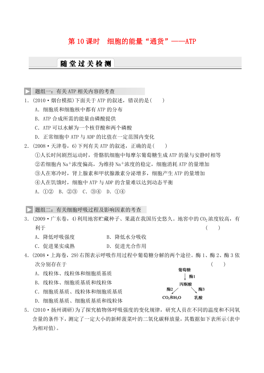 2012高考生物一輪復(fù)習(xí) 精編練習(xí)資料 第10課時(shí) 細(xì)胞的能量“通貨”ATP 新人教版必修1_第1頁(yè)