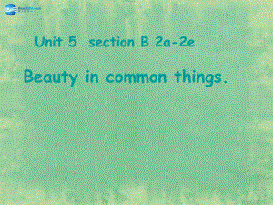 九年級英語全冊 Unit 5 What are the shirts made of？Section B（2a-2e）課件