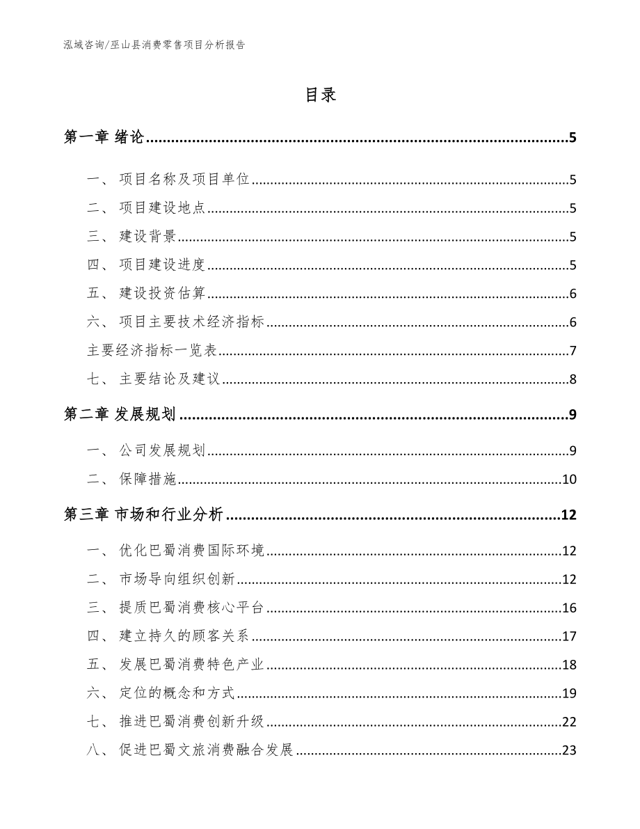 巫山县消费零售项目分析报告【参考模板】_第1页