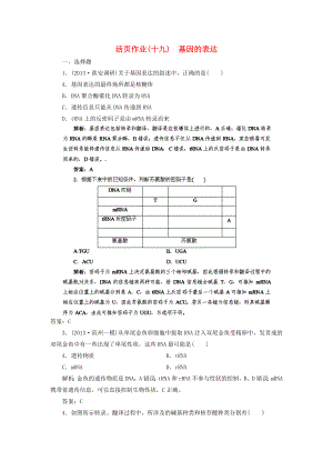 2014高三生物一輪復(fù)習(xí)指導(dǎo) 活頁(yè)作業(yè)19 基因的表達(dá)（含解析）新人教版