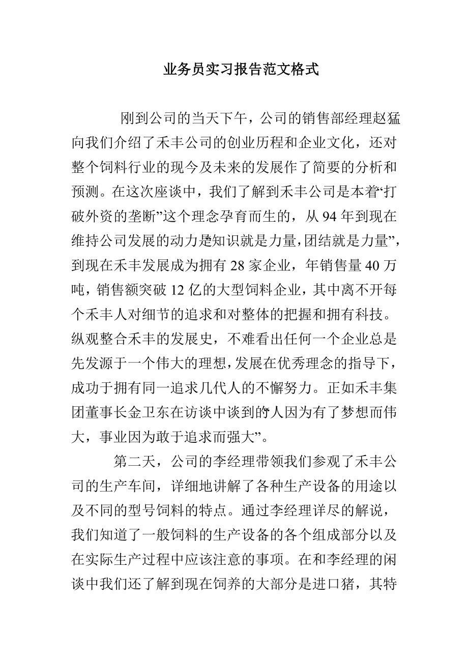 业务员实习报告范文格式_第1页