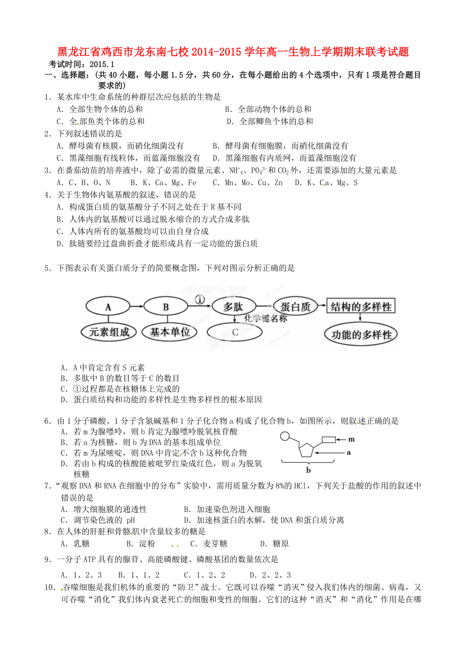 黑龙江省鸡西市龙东南七校2014-2015学年高一生物上学期期末联考试题_第1页