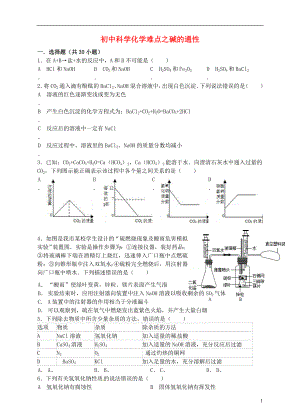 【沖刺中考】2013中考化學難點突破專題05 堿的通性