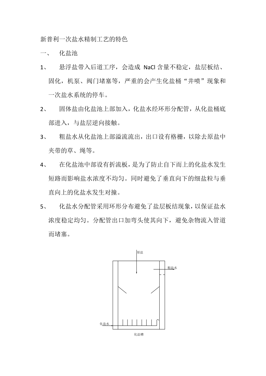 新普利一次盐水精制工艺特点_第1页