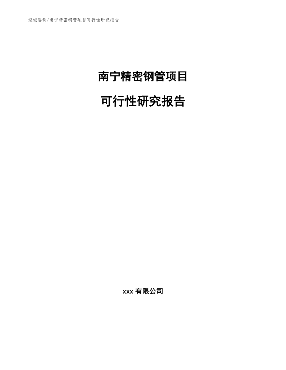 南宁精密钢管项目可行性研究报告_第1页