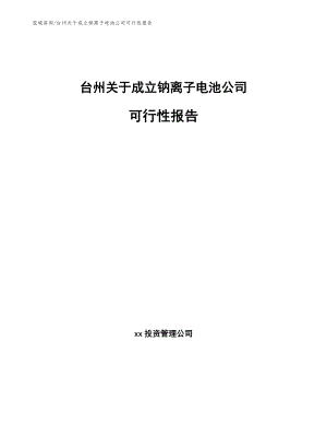 台州关于成立钠离子电池公司可行性报告