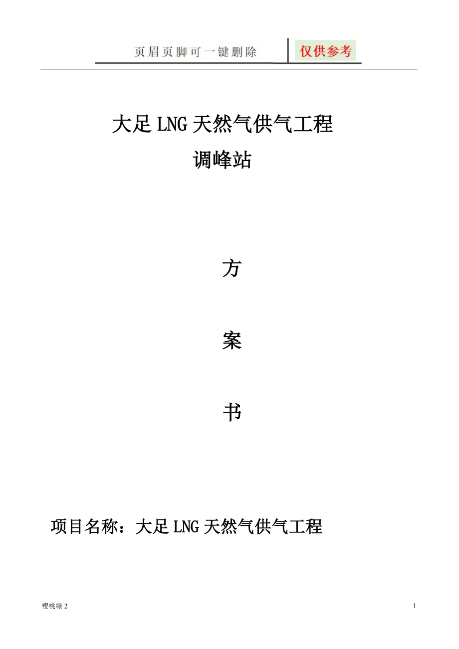 大足LNG天然气供气工程方案(定稿)【文档知识】_第1页